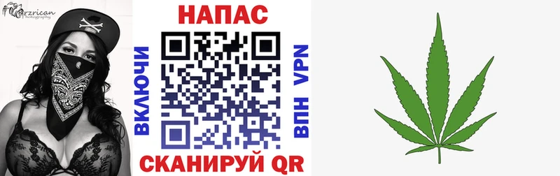 Купить где  Новый Оскол  МАРИХУАНА сатива 